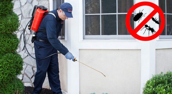 Akçakent Dezenfeksiyon böcek ilaçlama ve haşere kontrolü — ilaclama-tr.com